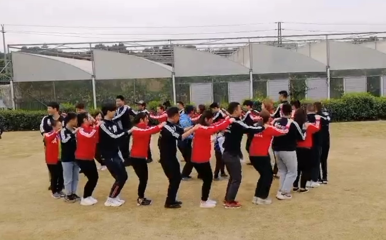 1576900381993707.jpg 4.JPG